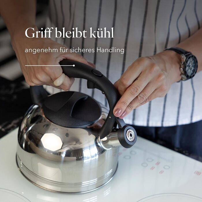 Чайник FLORINA Fenny Satin Induktion 2.5L з нержавіючої сталі, сріблястий