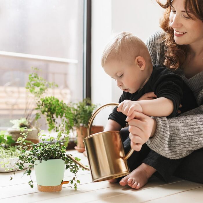 Набір горщиків для квітів з автополивом, 6 шт., чорний (зелений+коричневий), різні розміри, для дому та балкона