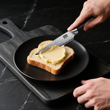 Японський ніж для кухні SHAN ZU з порошкової сталі, професійний ніж шеф-кухаря з високим вмістом вуглецю, з ергономічною ручкою з паккавуда (набір з 6 ножів для стейку, 11.5 см)