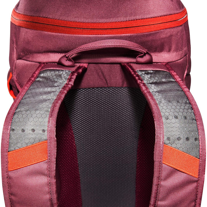 Л з вентиляцією спини та дощовиком - Легкий, зручний рюкзак для походів для жінок та чоловіків - об'єм 27 літрів (Синій), 27