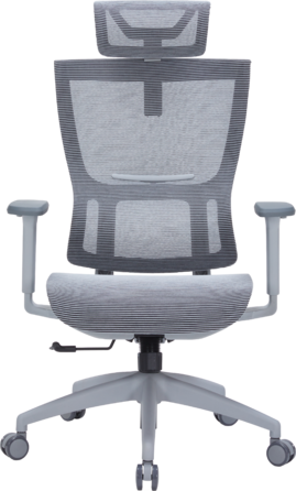 Крісло офісне OfficePro Elegant OC660-G-DG-DG