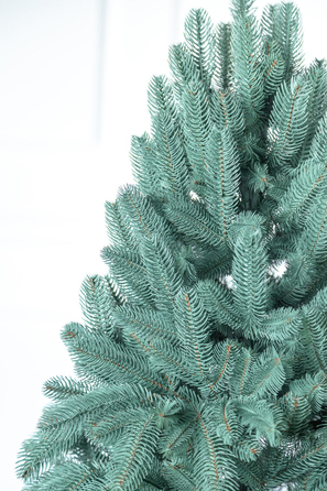 Ялинка лита 'Лапландська' ПАРАСОЛЬКА БЛАКИТНА 3,00м