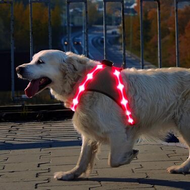 Шлейка для собак Chakit ED, світловідбиваюча, акумуляторна, що світиться (XL, рожева)