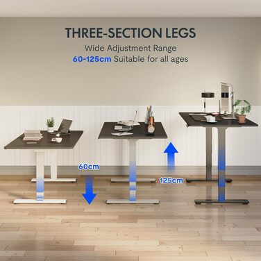 Електричний регульований стіл FLEXISPOT 120x80 см з подвійним мотором - ергономічний стоячий стіл для дому та офісу, 100 кг, тиха робота (<50 дБ), сірий + чорний