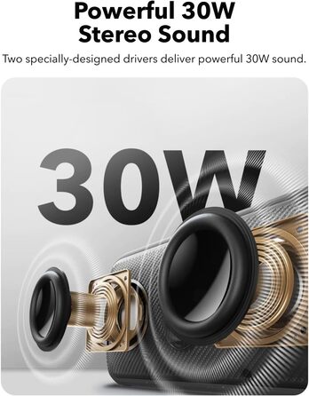 Soundcore Motion 300: Бездроковий портативний Bluetooth-динамік з BassUp, SmartTune, 30W, 13h, IPX7, для дому, саду, кемпінгу та подорожей (Чорний)