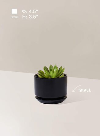 Набір горщиків для квітів LE TAUCI 3шт, кераміка, 11/13/17 см, з підставками та дренажними отворами, реактивна глазур, бежевий (чорний)