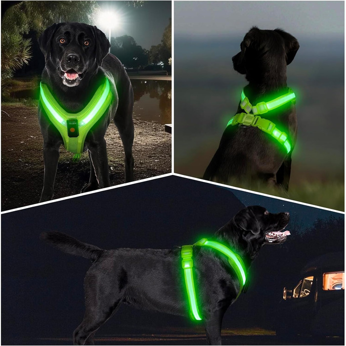 Світлодіодна шлейка для собак KOSKILL, акумуляторна шлейка для собак з підсвічуванням, світиться в темряві, світловідбиваючий жилет для собак, ліхтарі для нічних прогулянок (зелений, XL)