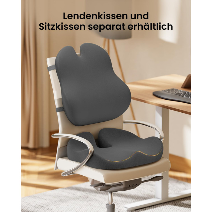 Підпорка для спини ProtoArc з Memory Foam: ергономічна подушка для офісного крісла, авто та робочого столу. Підтримка попереку, дихаюча тканина, регульовані ремені (сірий)