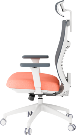 Крісло офісне OfficePro Balance OC550-W-DG-OR