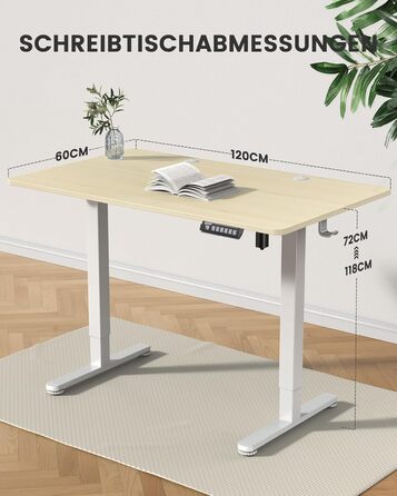 Електричний регульований стіл ErGear 120 x 60 см з пам'яттю, для дому та офісу, світле дерево
