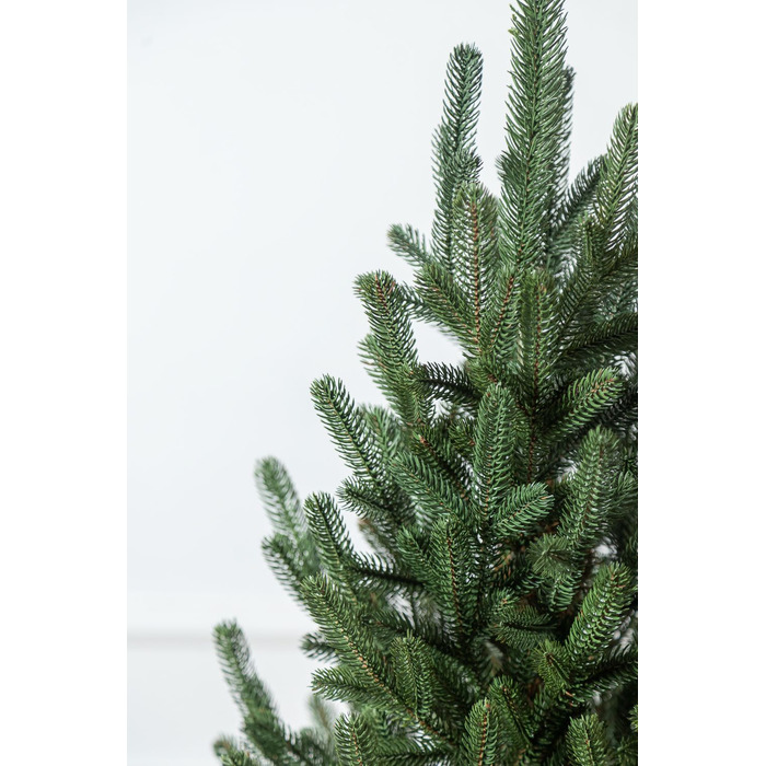 Ялинка лита 'Віденська' в горщику зелена 0,90м