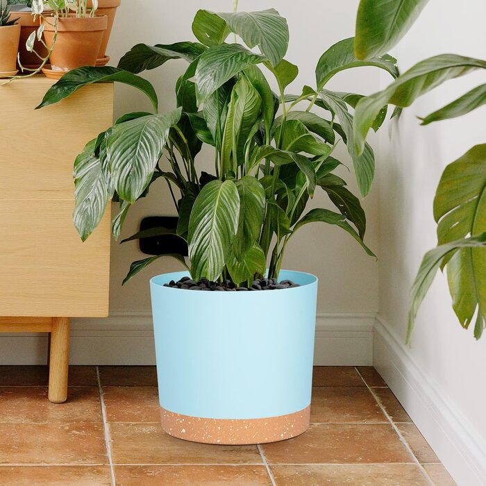 Набір горщиків для квітів QCQHDU 2 шт. з дренажними отворами та знімним дном, підставки, сучасний декор для дому та саду (Світло-блакитний, 25.4 см)