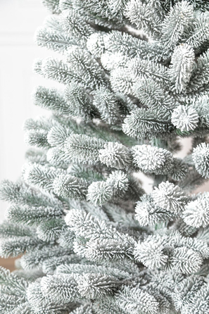 Ялинка лита 'Президентська' конусна ЗАСНІЖЕНА 2,10м