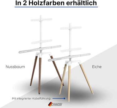 Підставка для телевізора Schwaiger 658200: дерев'яна стійка-монопод для телевізорів до 65 дюймів, до 35 кг, з кріпленням для саундбару, білий/бук, справжнє дерево, преміум-якість