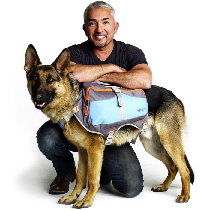 Рюкзак для собак Сезара Міллана, середній розмір м
