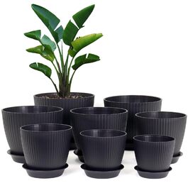 колір: чорний