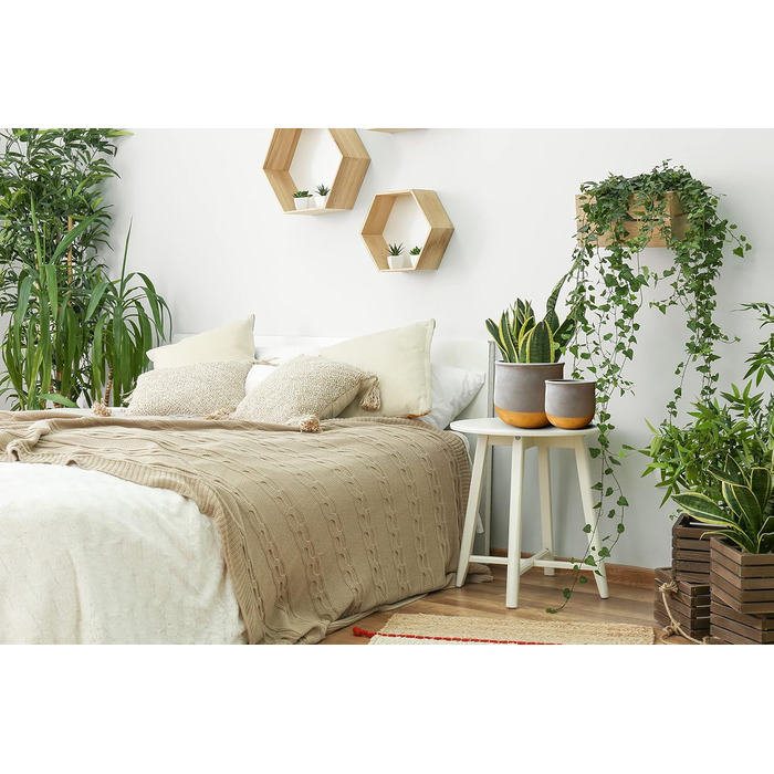 Набір керамічних горщиків Olly & Rose Gold Dip: 17 см + 12 см, для дому та саду, золотий декор