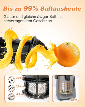 Charmline Slow Juicer: повільний соковитискач для фруктів та овочів, 1,8л, легке очищення