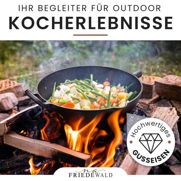 Вок з чавуну Friedewald® з кришкою, 29 см, для 2-4 осіб, сумісний з індукцією, для всіх плит, антипригарне покриття, високий борт, каструля-сковорода