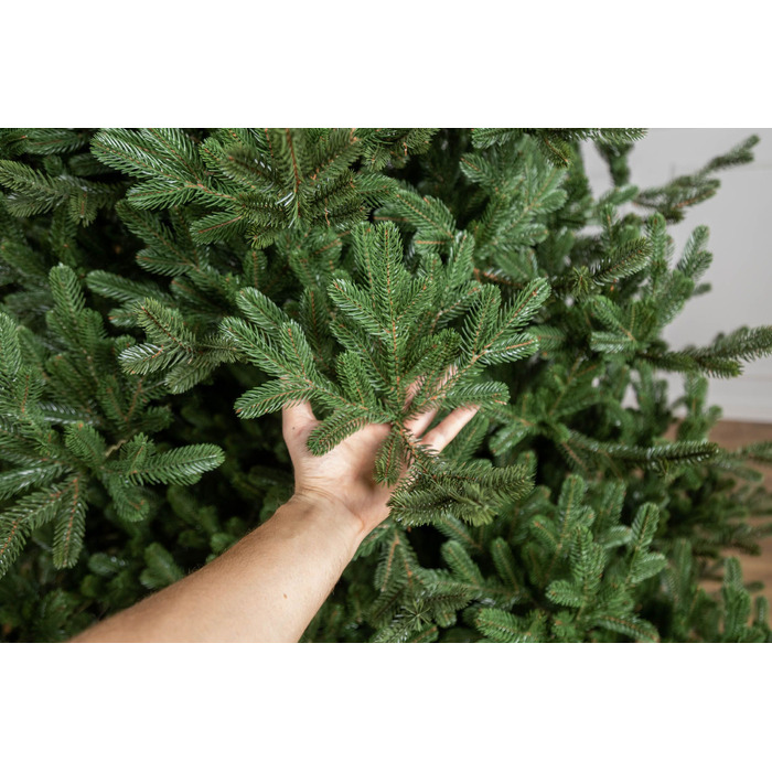 Ялинка лита 'Міланська' ПАРАСОЛЬКА ЗЕЛЕНА 1,80м