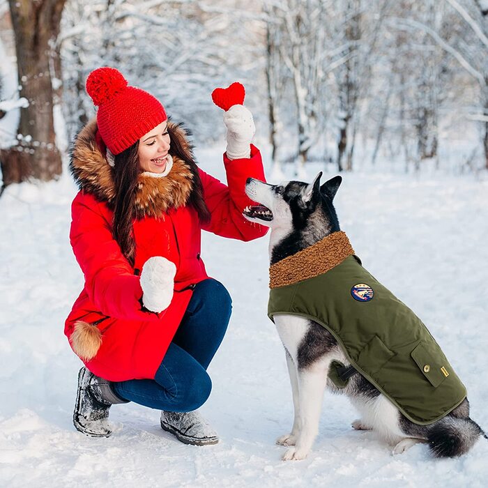 Зимове пальто для собак IREENUO, водонепроникна зимова куртка для собак середнього і великого розміру, тепла зимова куртка для собак з регульованим поясом і захистом живота, зимове пальто для собак на осінь-зиму (зелений, M) зелений M