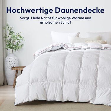 Преміум ковдра з гусячого пуху та пера 135x200 см, всесезонна, 100% бавовна, сертифікація Öko-TEX 100, DOWN Pass, RDS