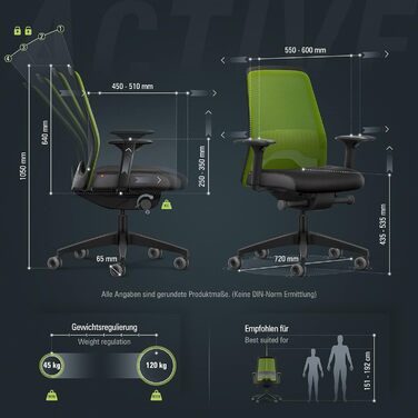 Офісне крісло Interstuhl Every Active Edition: регульована поперекова підтримка, комфортне та активне сидіння (зелений | чорний)
