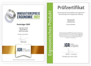 Ergotopia NextBack: ергономічне крісло для офісу з підтримкою спини | Крісло для роботи з підголівником та підлокітниками | 5 років гарантії (сірий/білий)