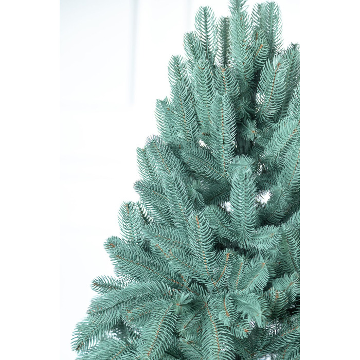 Ялинка лита 'Лапландська' ПАРАСОЛЬКА БЛАКИТНА 3,00м