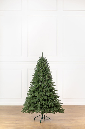 Ялинка лита 'Лапландська' ПАРАСОЛЬКА ЗЕЛЕНА 1,80м