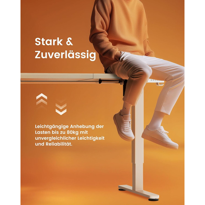 Електричний регульований стіл ErGear 160x80 см з пам'яттю, для дому та офісу, з'єднувальна панель 120x60 см, світле вінтажне дерево