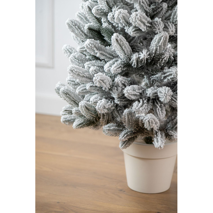 Ялинка лита 'Лапландська' в горщику ЗАСНІЖЕНА 0,70м
