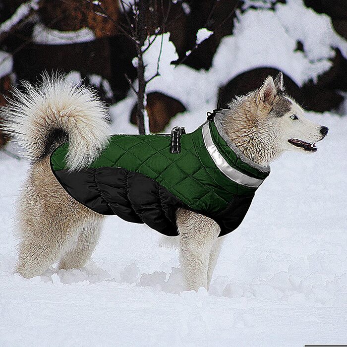 Зимове пальто для собак CITTOILE, куртка для собак з шлейкою, водонепроникне Пальто для собак з флісовою підкладкою для маленьких собак, тепла куртка для собак зі світловідбиваючим покриттям для маленьких собак середнього розміру, (XS, зелений)