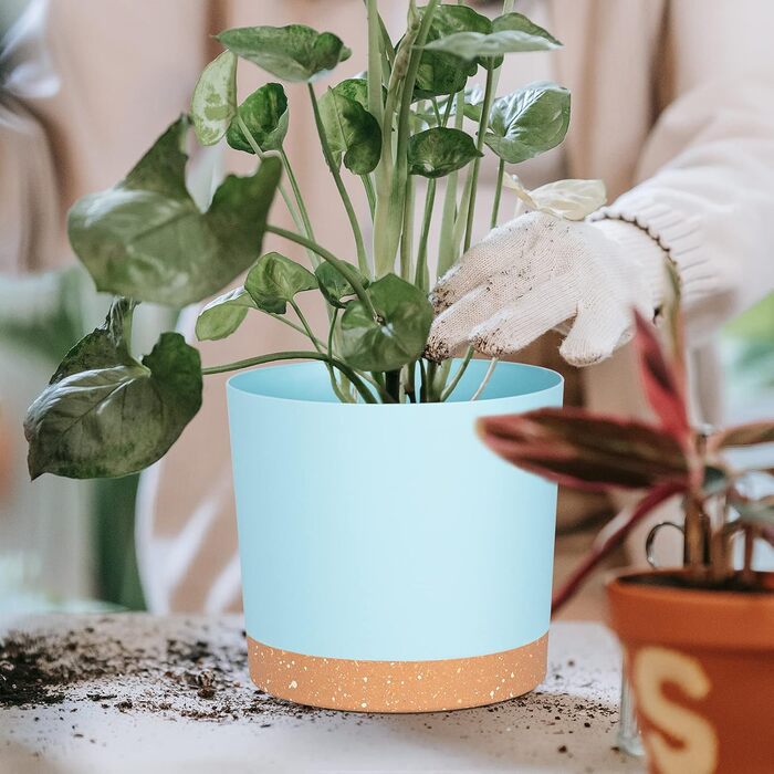 Набір з 2 горщиків для квітів QCQHDU з дренажними отворами та знімним дном, підставки, декоративні, для дому та саду (світло-блакитний, 20.5 см)