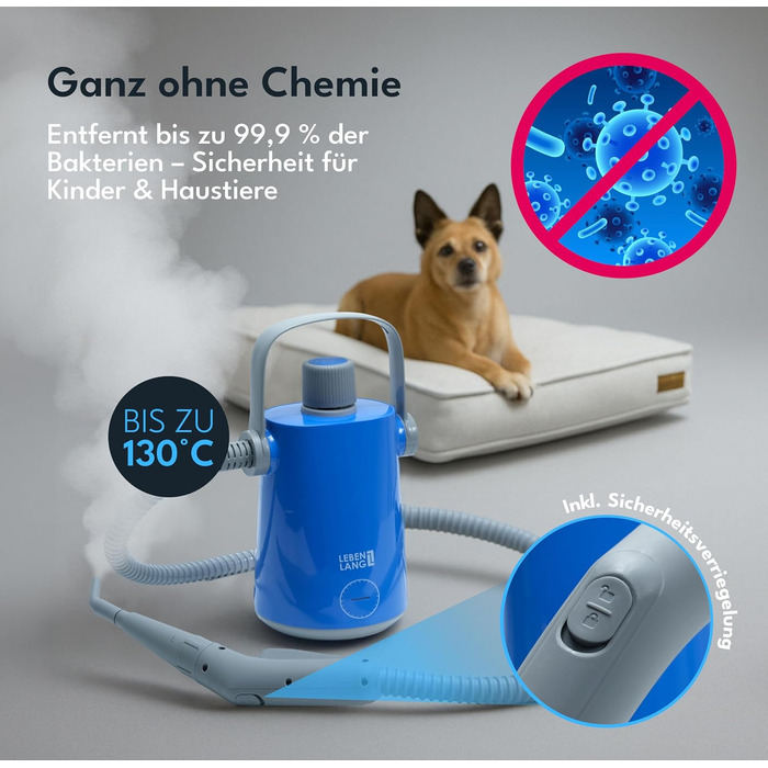 Електричний пароочисник LEBENLANG - 3,5 Bar, 1000W, 12 аксесуарів | Для дому, ванної кімнати, авто та вікон