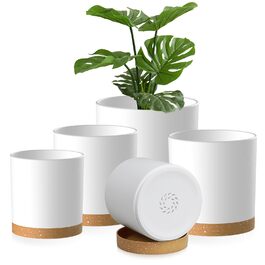 колір: біле та коричневе таблети