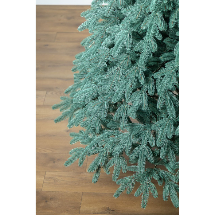 Ялинка лита 'Лапландська' ПАРАСОЛЬКА БЛАКИТНА 1,50м