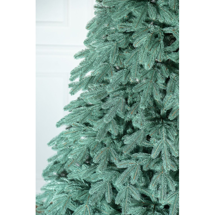 Ялинка лита 'Лапландська' ПАРАСОЛЬКА БЛАКИТНА 3,00м