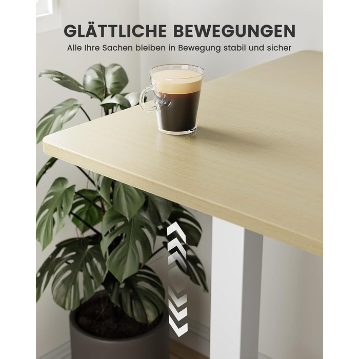 Електричний регульований стіл ErGear 120 x 60 см з пам'яттю, для дому та офісу, світле дерево