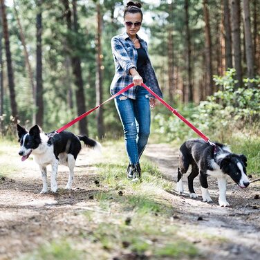 Повідець для собак Beddog віллі, регульований на 3 довжини, подвійний повідець, повідець для вигулу, повідець для вигулу, поводок для собак середнього і великого розміру, загальна довжина 2 м- (2 м/25 мм, червоний)