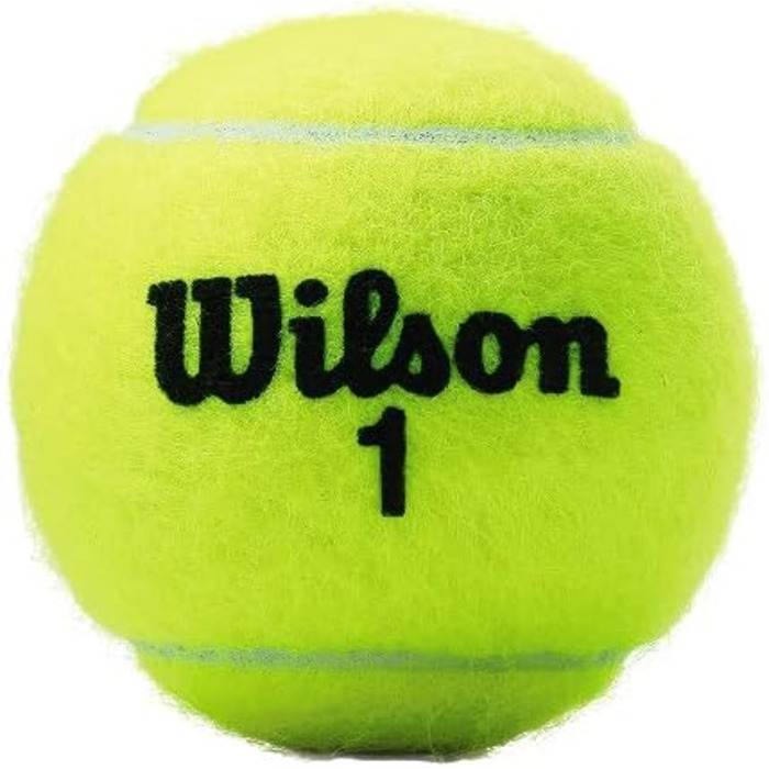 Тенісні м'ячі Wilson Champ Extra Duty (3 м'ячі, жовті)
