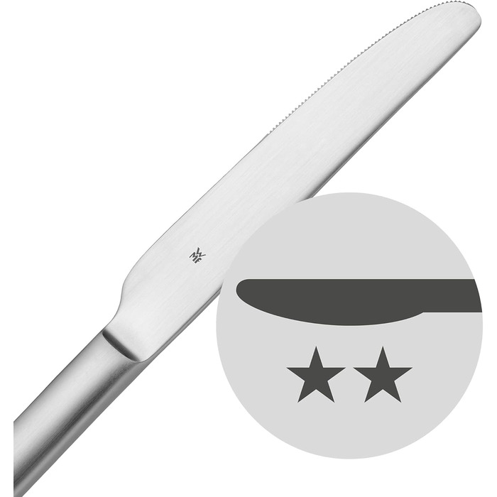 Набір столових приборів WMF Alteo, 60 предметів, нержавіюча сталь Cromargan, матове покриття, для 12 осіб