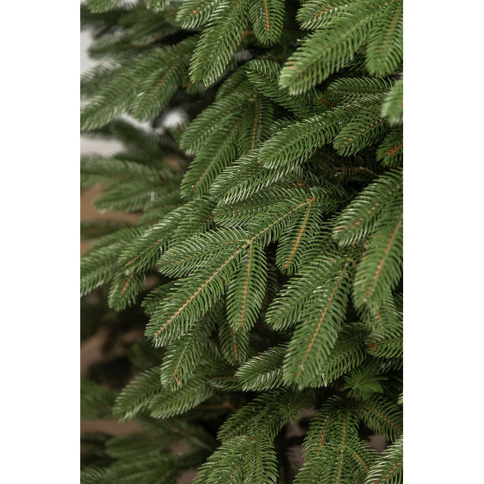 Ялинка лита 'Лапландська' ПАРАСОЛЬКА ЗЕЛЕНА 1,50м