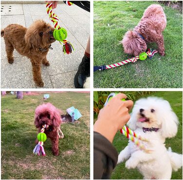 Вуличні іграшки для собак NEECONG, банджі-соло для підвішування, прив'язь, перетягування каната для собак, міцні інтерактивні іграшки для собак з металевими пружинами, іграшки на мотузочці для собак (зелений)