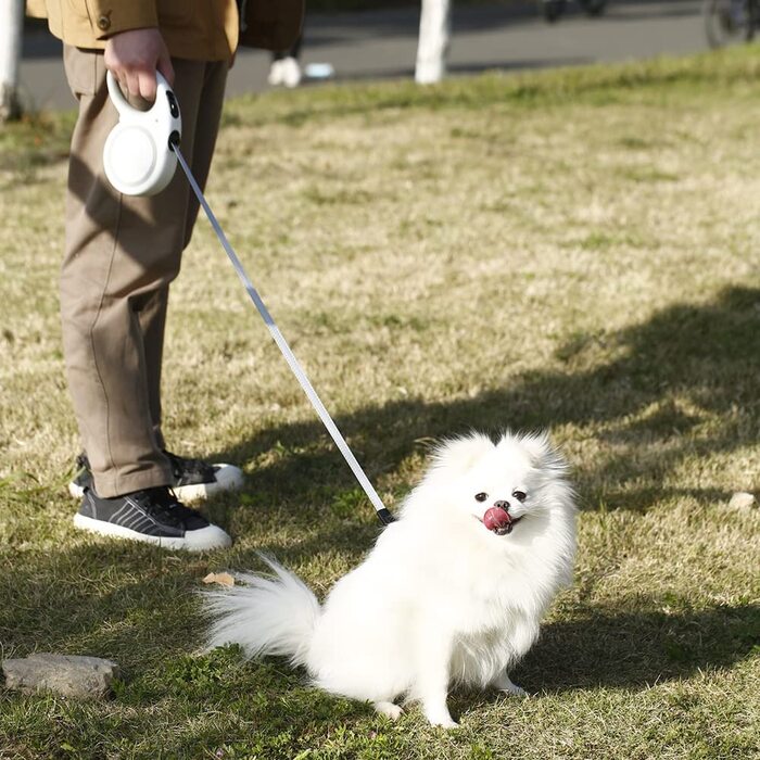 Висувний повідець для собак, 4,8 м, міцний, світловідбиваючий, міцний нейлоновий ремінець, з нековзною ручкою для великих собак або кішок вагою до 50 кг, білий білий / розкішний сад
