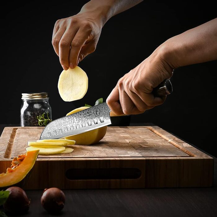 Японський ніж Gyuto FANTECK з дамаської сталі 20 см (67 шарів VG-10) - професійний кухонний ніж з ручкою з паккавуду, в подарунковій коробці