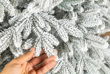 Ялинка лита 'Альпійська' ЗАСНІЖЕНА 1,80м