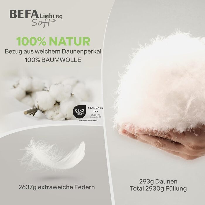 Пухова ковдра BEFA SOFT Daunendecke Winter 100x135 см | 90% пух та 10% перо | Дихаюча та легка у догляді | Для алергіків (NOMITE) | Безпечна для тварин (DOWNPASS) | Oeko-TEX Клас 1 | Зроблено в Німеччині
