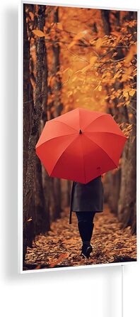 Інфрачервовий обігрівач з зображенням 