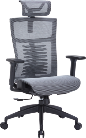 Крісло офісне OfficePro Balance OC620-B-DG-DG